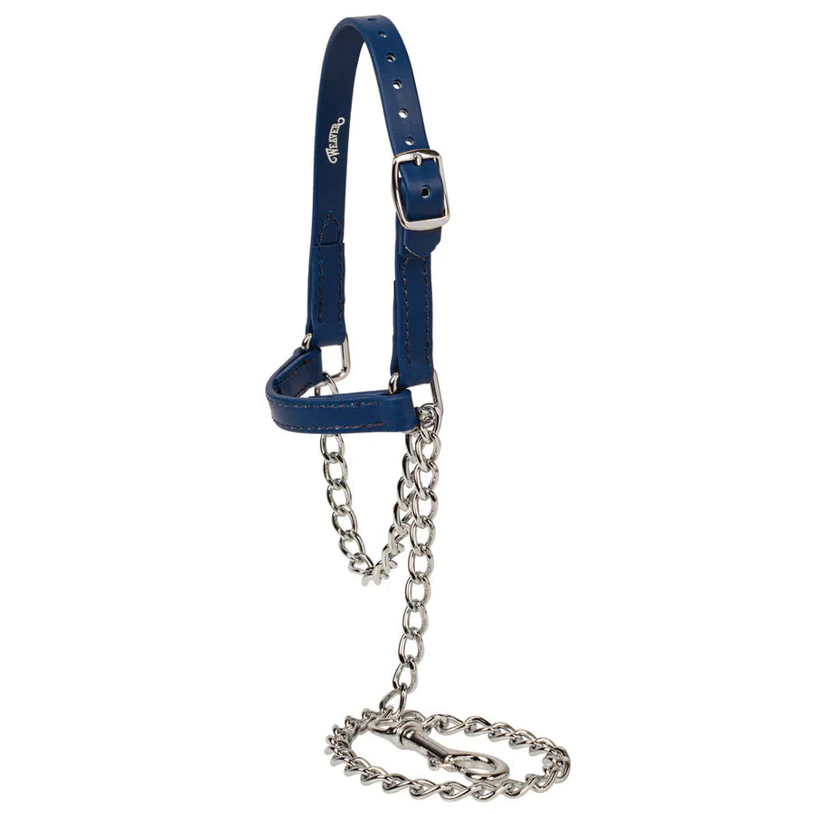 SMALL Sheep and Goat Brahma Webb® Halter, blue