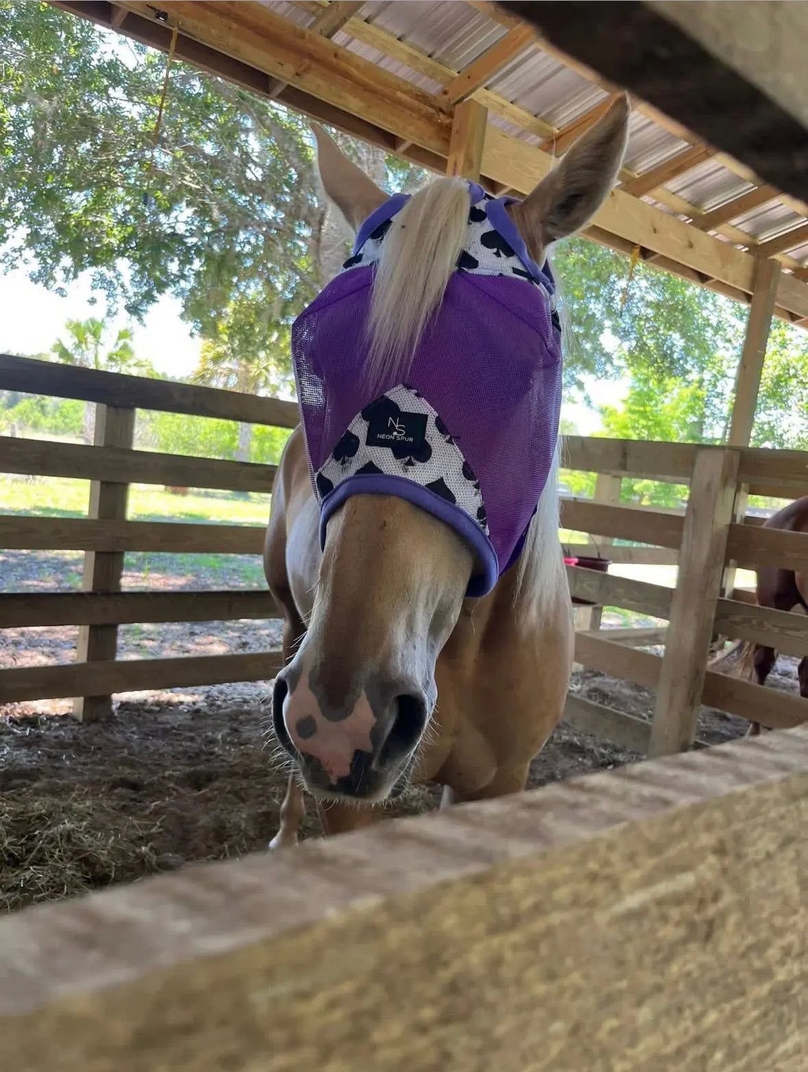 Smokin Spades Fly Mask -Purple Mesh
