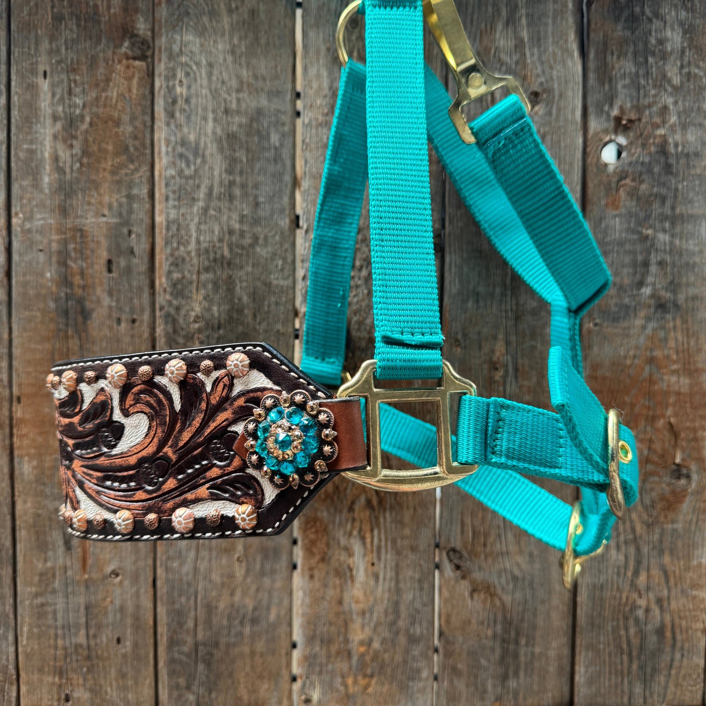 Teal Nylon Horse Halter – Bronc Noseband with Crystal Conchos NH105