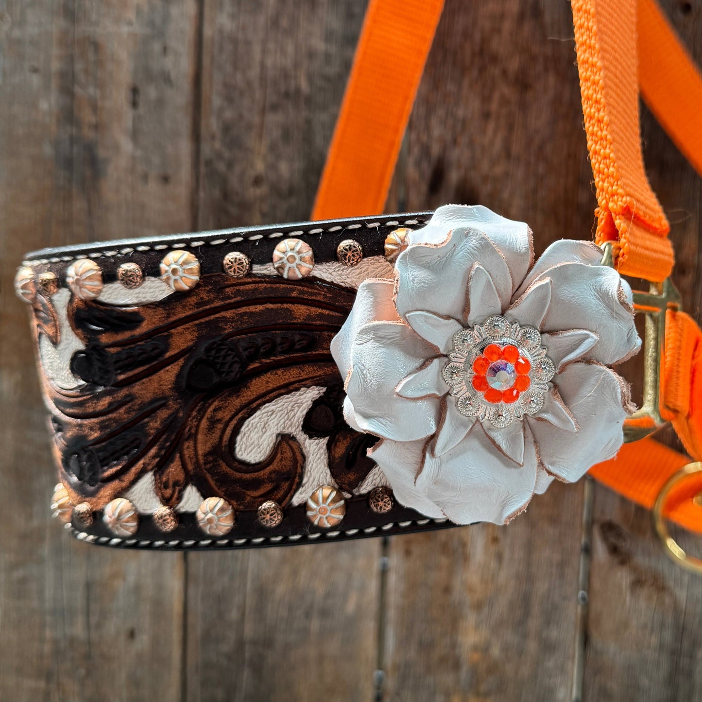 Orange Nylon Horse Halter – Bronc Noseband with Crystal Conchos NH111