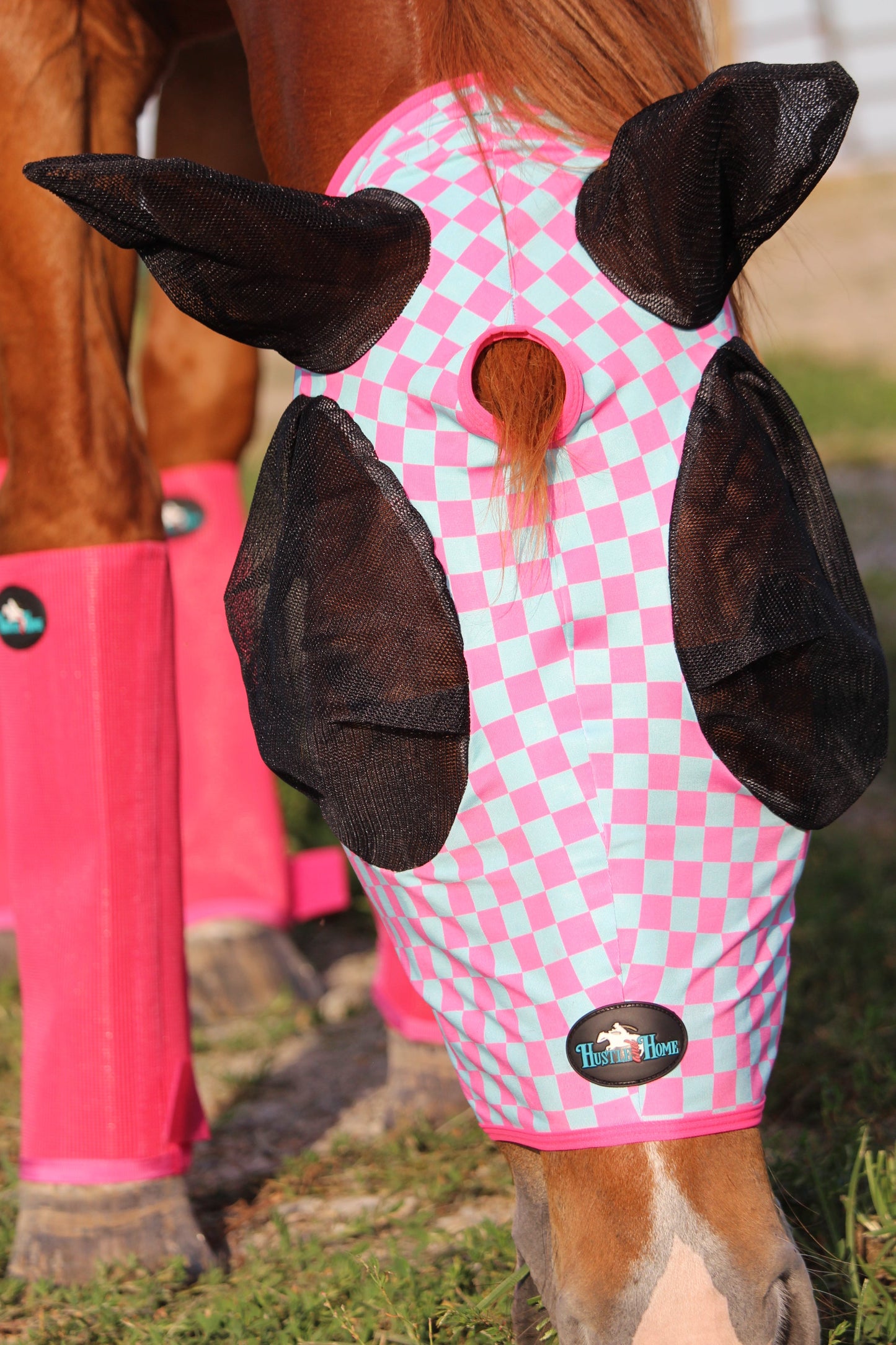 Checks Out (Pink/Turquoise) Fly Mask