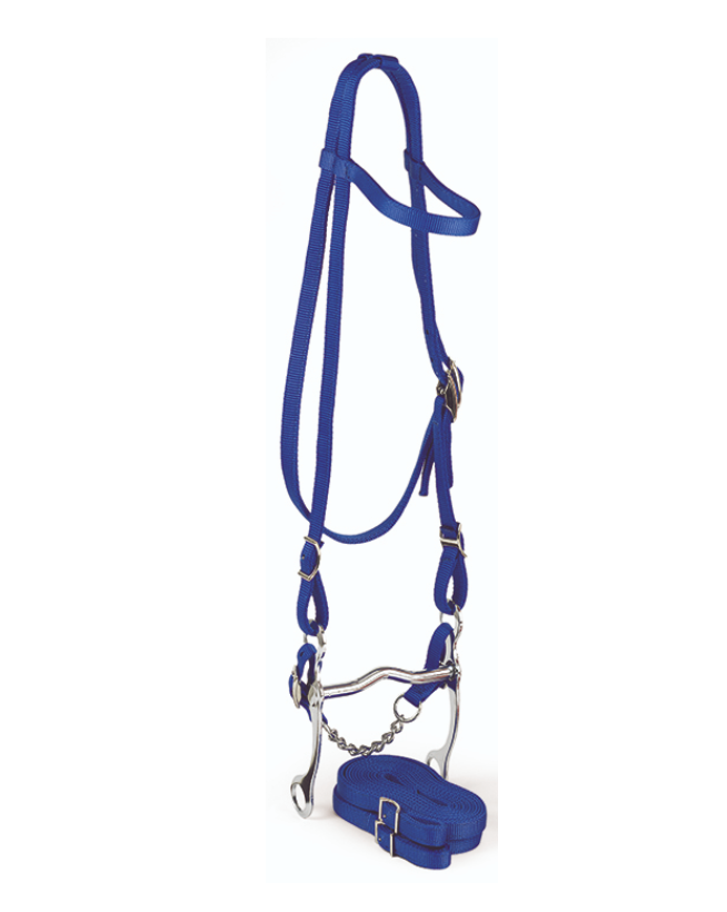 BRIDLE SET, HORSE SIZE, BLUE