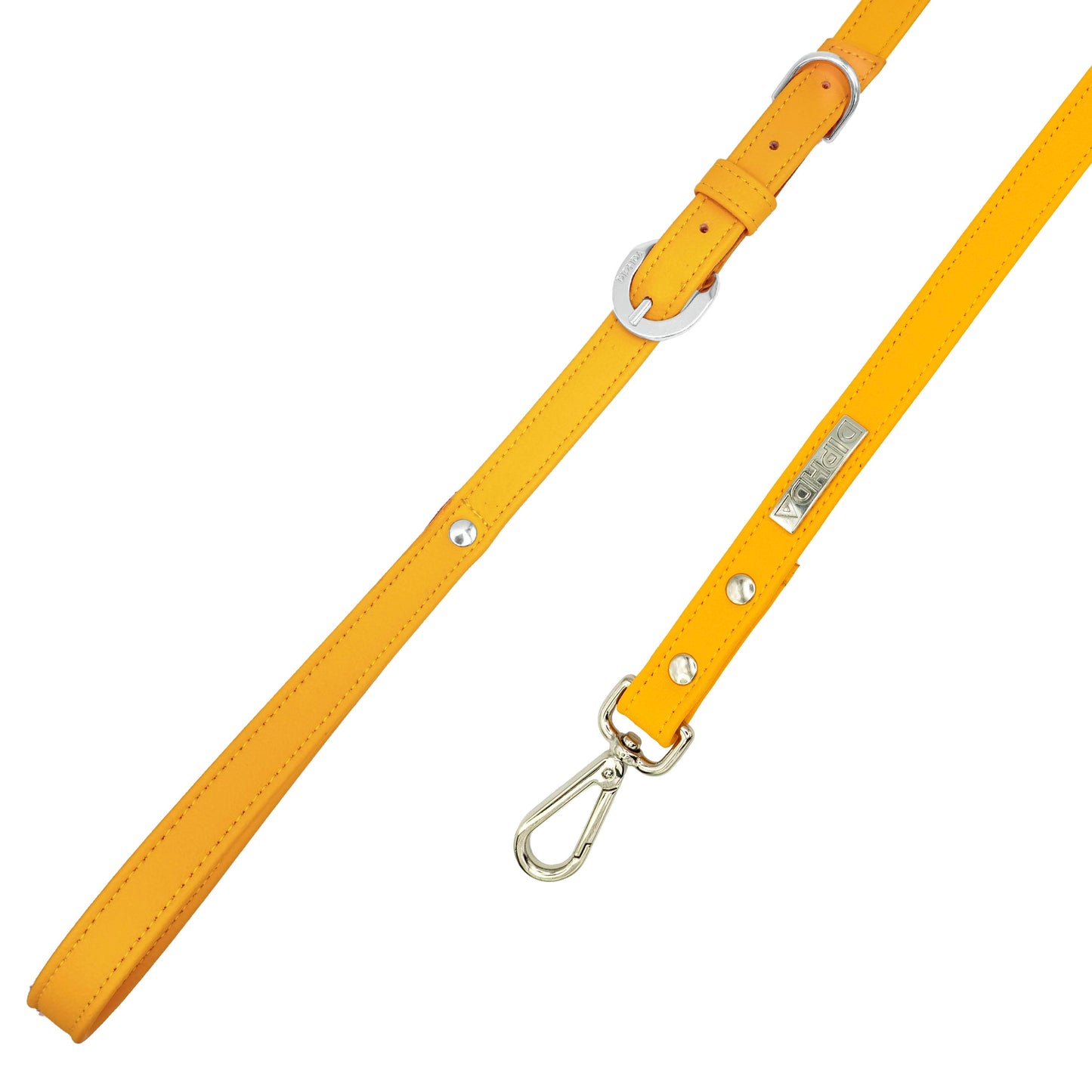 Sunflower Cactus Leash