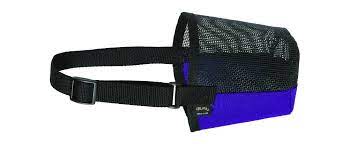 SHEEP MUZZLE-BLUE
