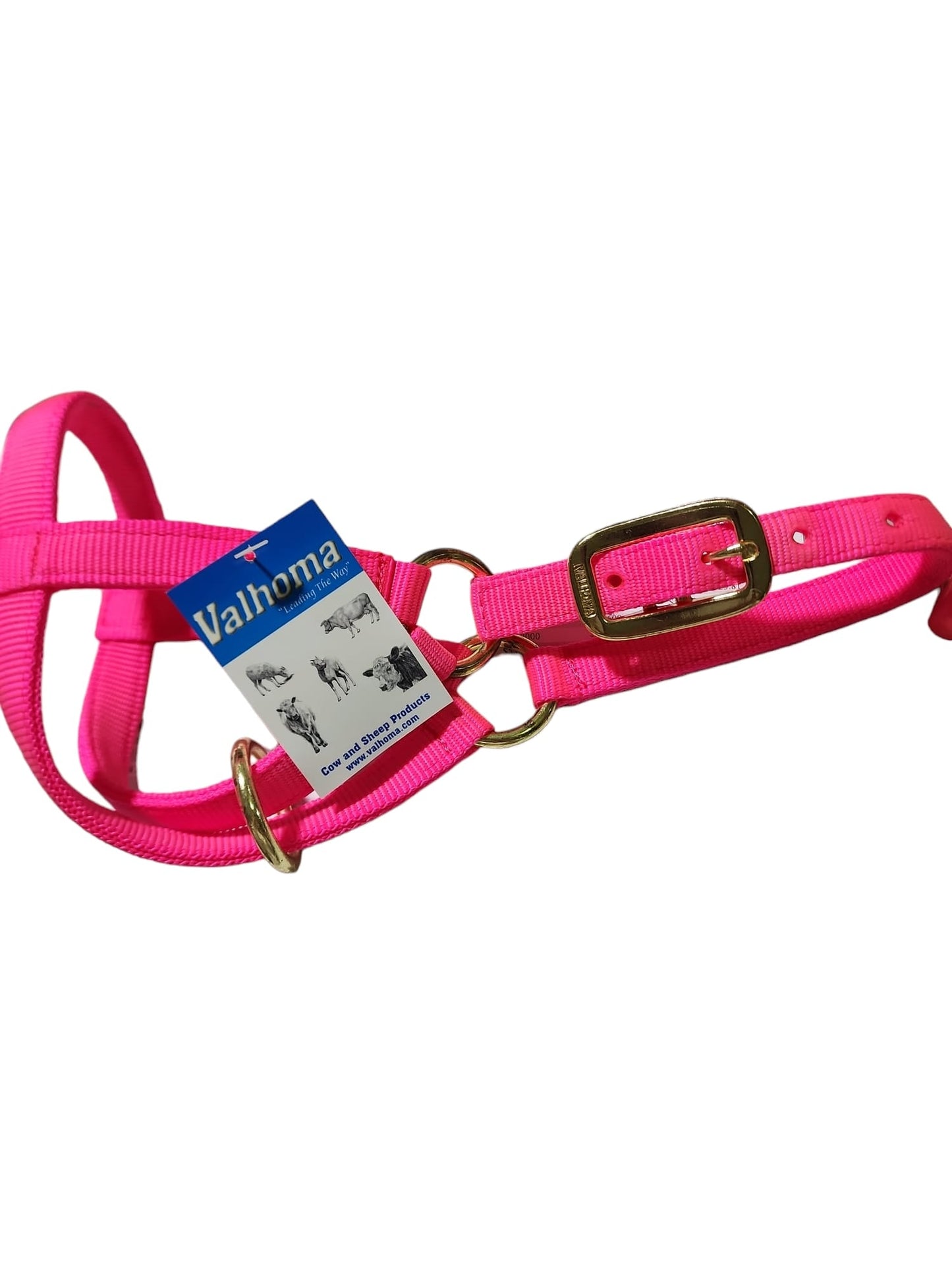Valhoma: Halter - Goat Billy - Hot Pink