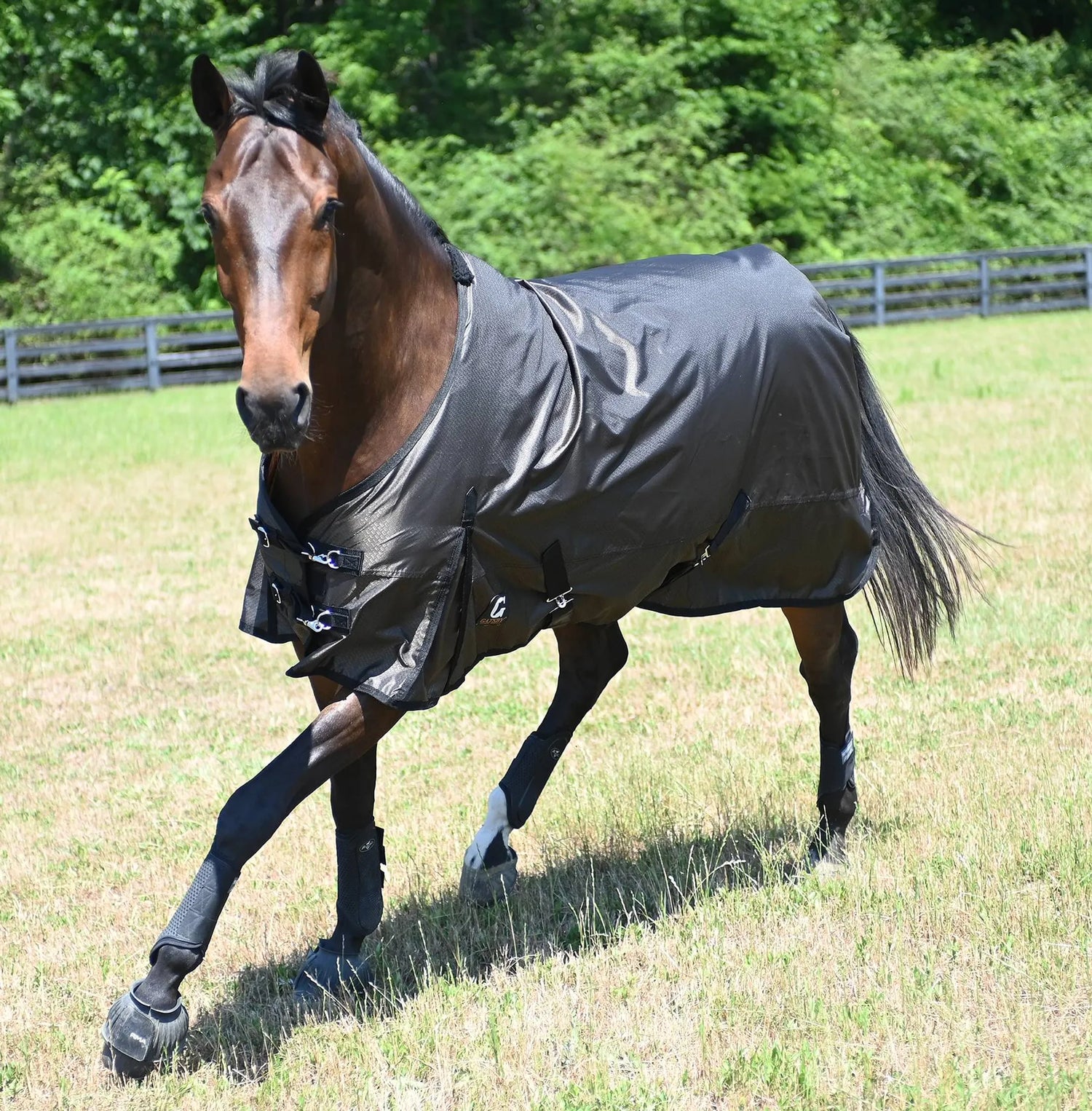 Equine Blankets/Turnout Sheets