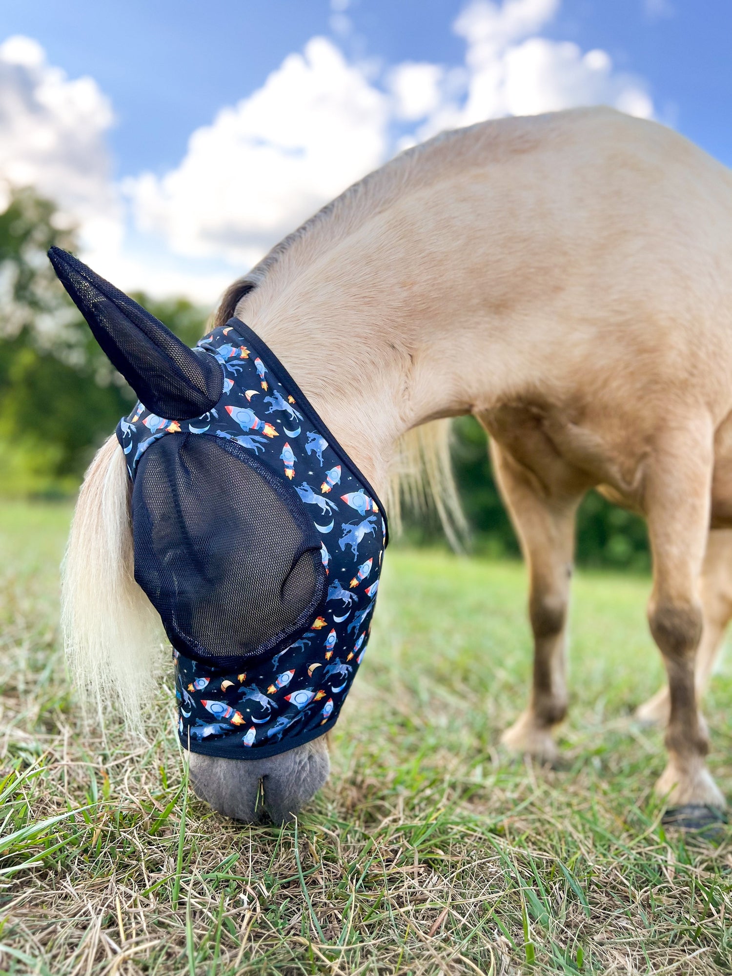 Fly Mask