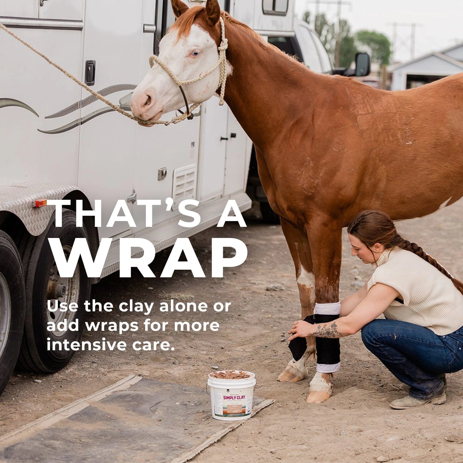 Equine Supplies