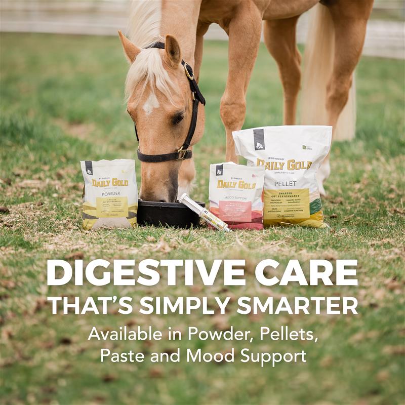 Equine Supplements – Out West Tack & Supply Co