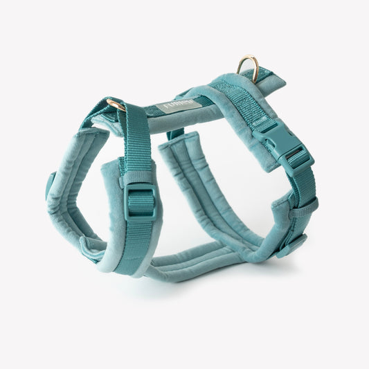 Blue - Velvet Dog Harness