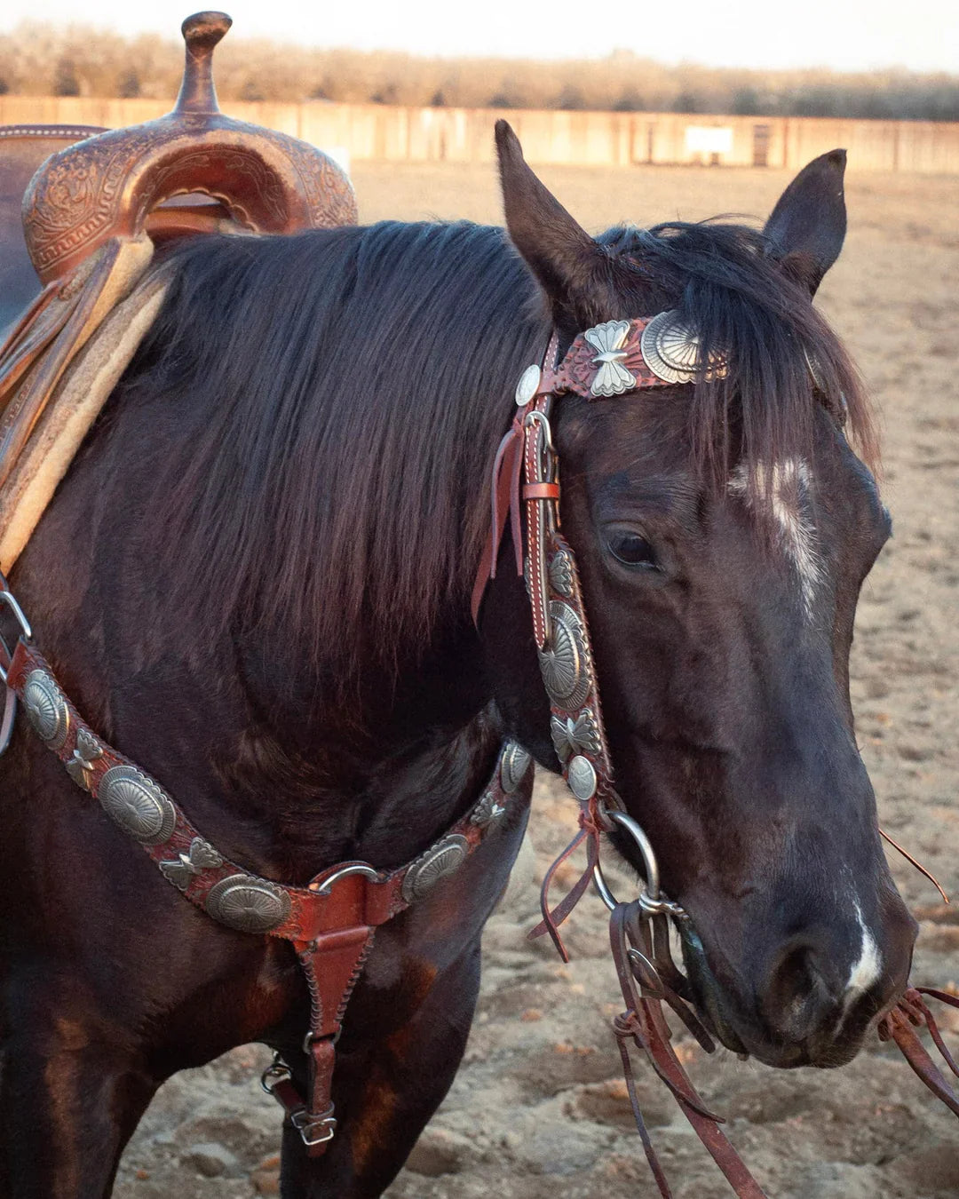 The Dinero Headstall