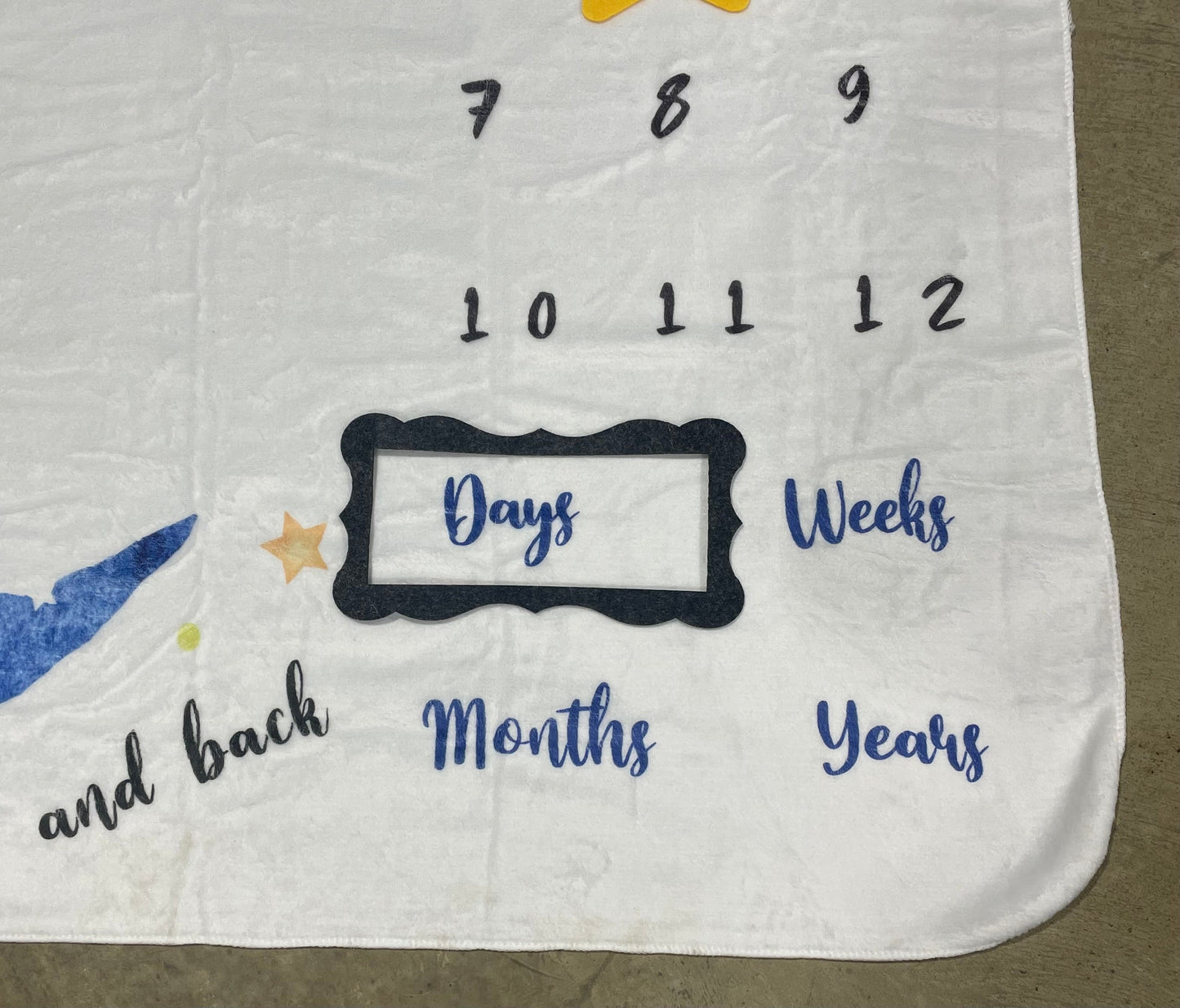 Monthly Milestone Baby Blanket