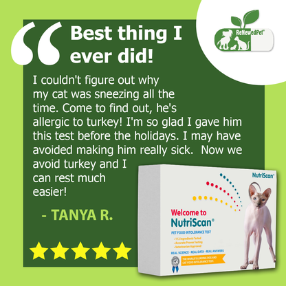 CAT FOOD ALLERGY / SENSITIVITY TEST!