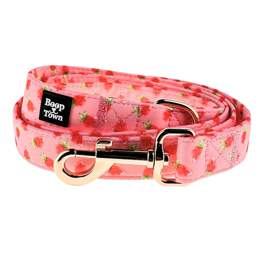 Strawberries Leash