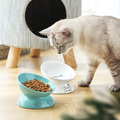 Ceramic Raised Cat Bowls