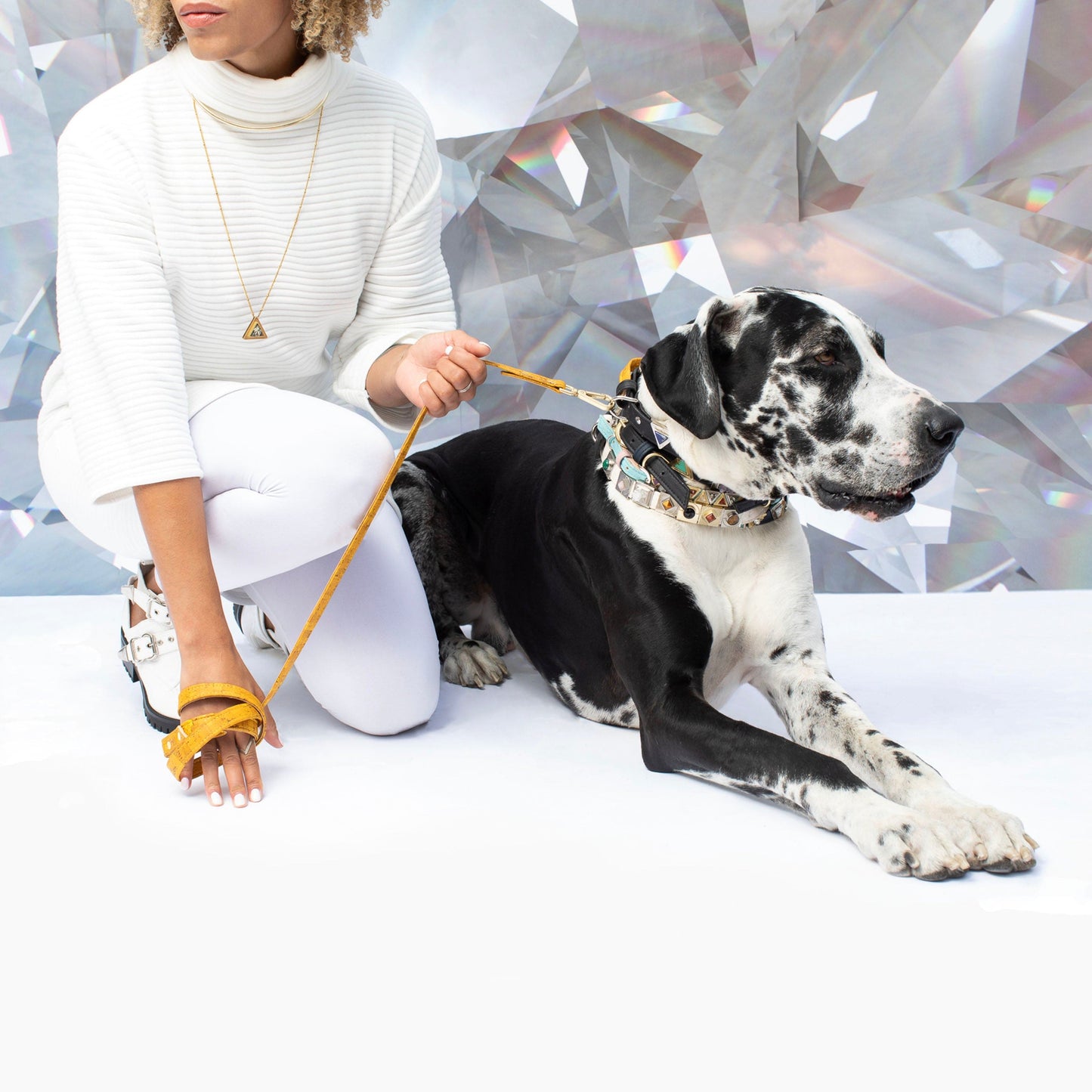 Ruby Red Cork Leather Leash