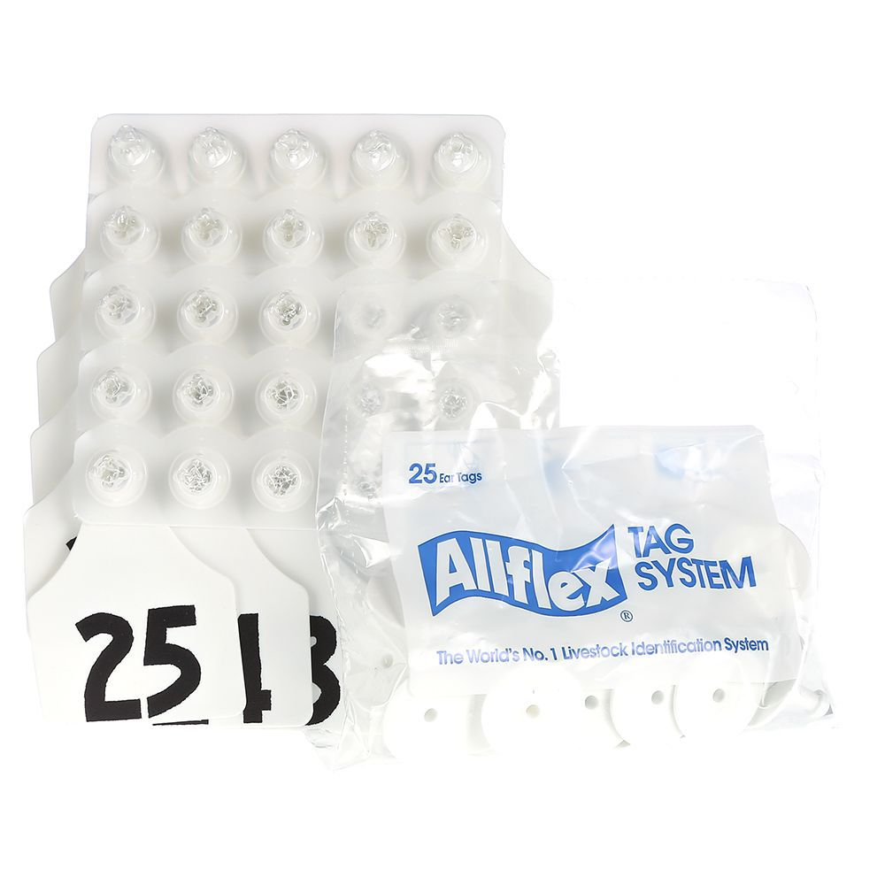 ALLFLEX: LARGE - FEM/SM - ORANGE - 76-100