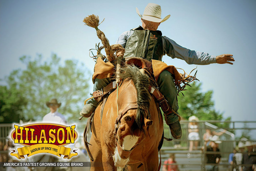 Horse Tall Collar Riding Vest Safety Protective Hilason Leather Rodeo