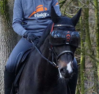 eQuick eVysor transparent