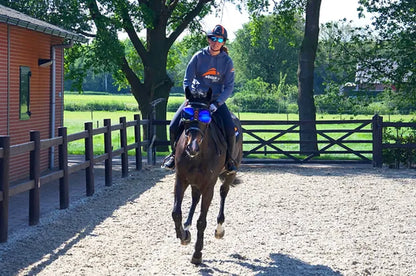 eQuick eVysor transparent