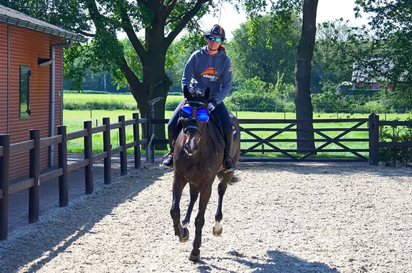 eQuick eVysor transparent