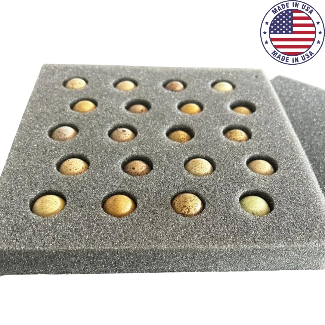 Button Quail Egg Foam Shipper 20 Hole Sets - Safe Egg Transport for Button Quail Eggs 10 Count