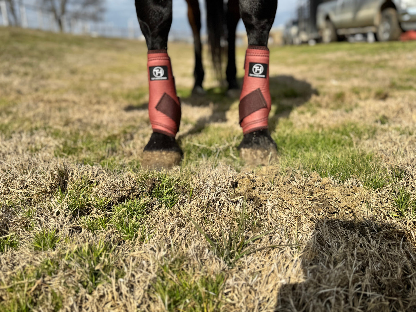 Copper Sport Boots