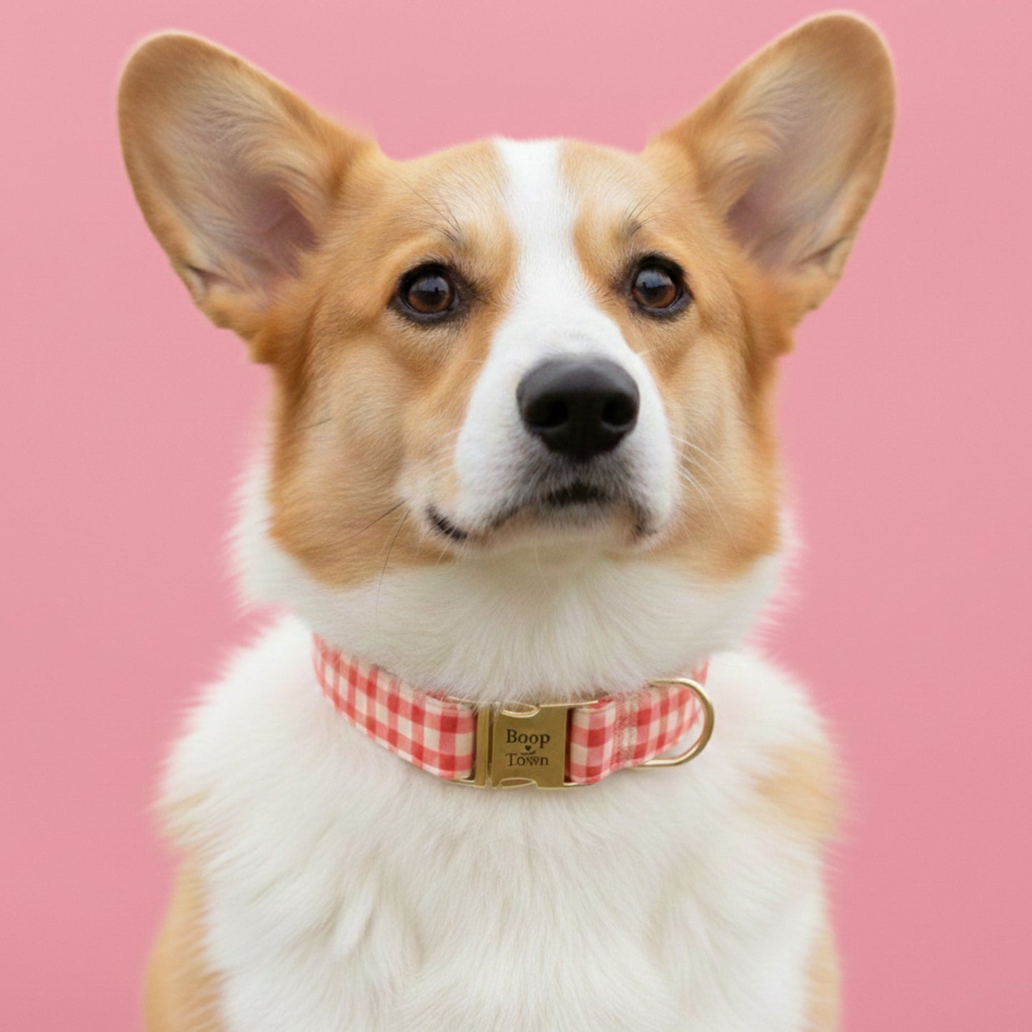 Pink Checker Collar
