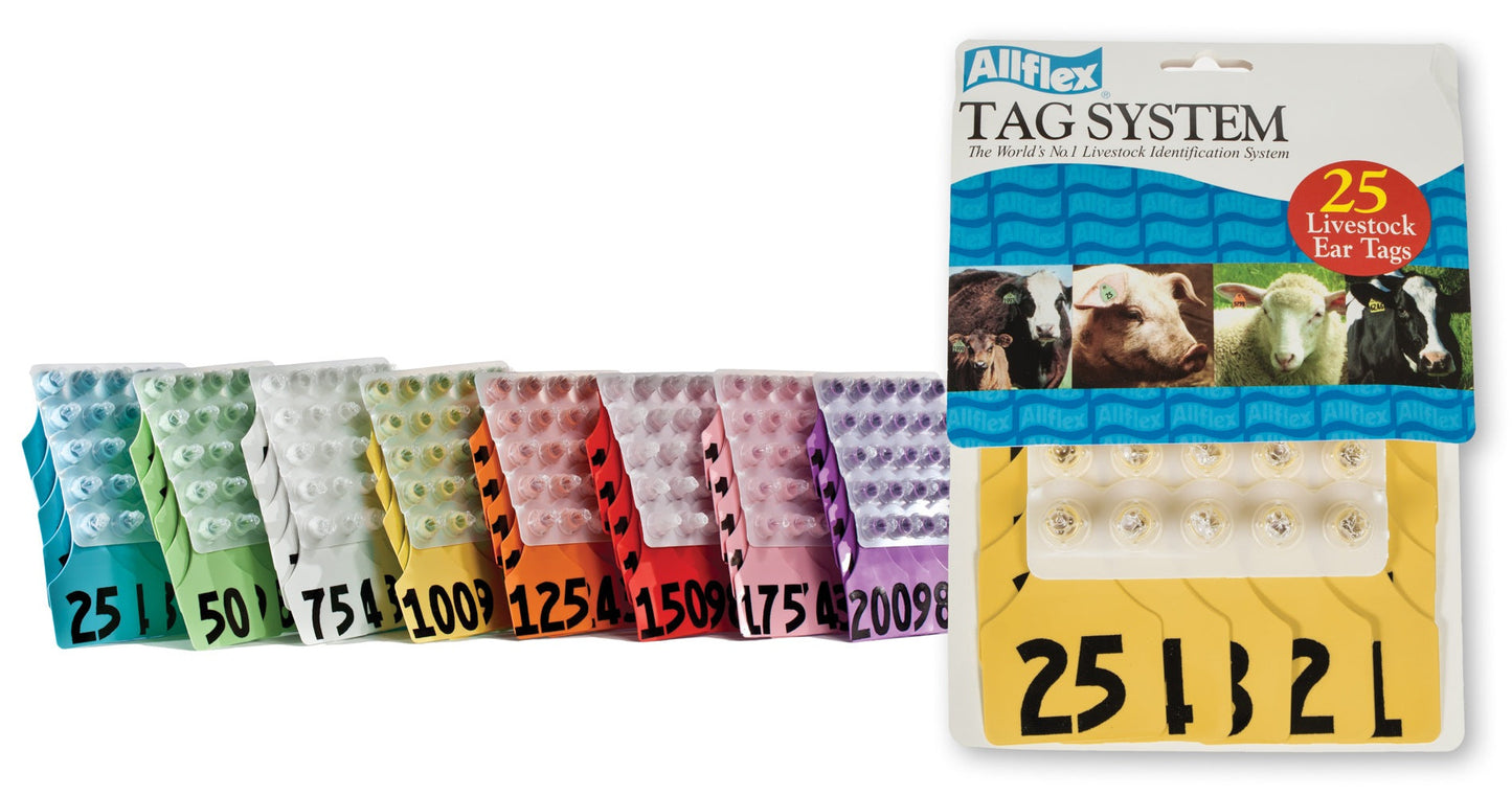 ALLFLEX: LARGE - FEM/SM - GREEN - 26-50
