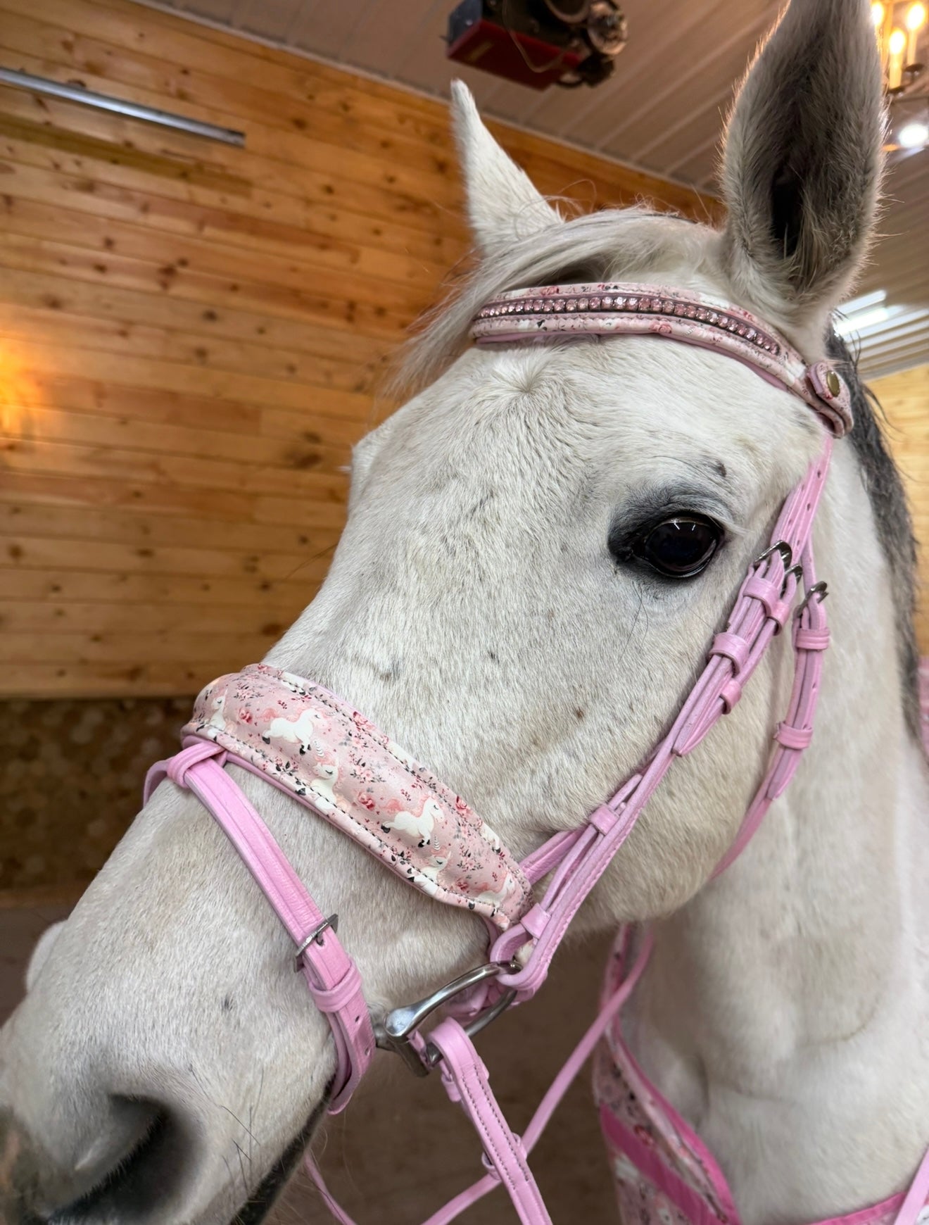 Unicorn Realms Flash Bridle