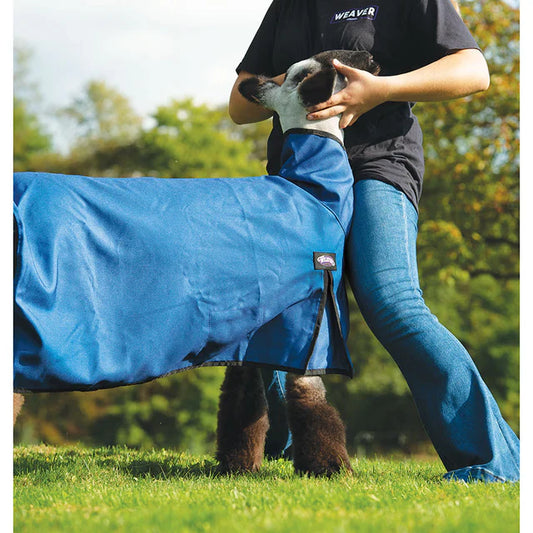 MEDIUM Nylon Sheep Blanket, Mesh Butt-BLUE
