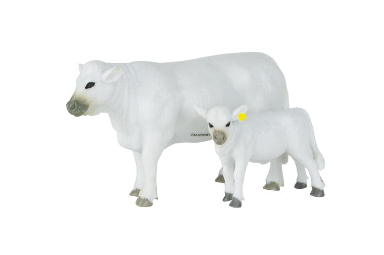 CHAROLAIS COW AND CALF