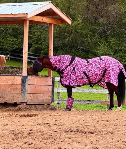 Catty Cowgirl Mid-Weight Fly Sheet with Attached Neck Cover