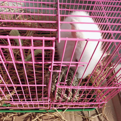 Get Your Furry Friends Hopping with Our Timothy Grass Chew Ball – Perfect Playtime for Bunnies, Hamsters, and Guinea Pigs! 🐰🐹🥳