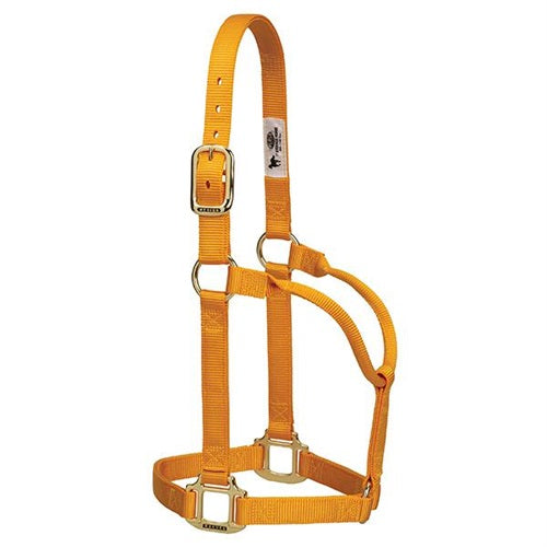 Original Non-Adjustable Halter 1" - Small Cinnamon