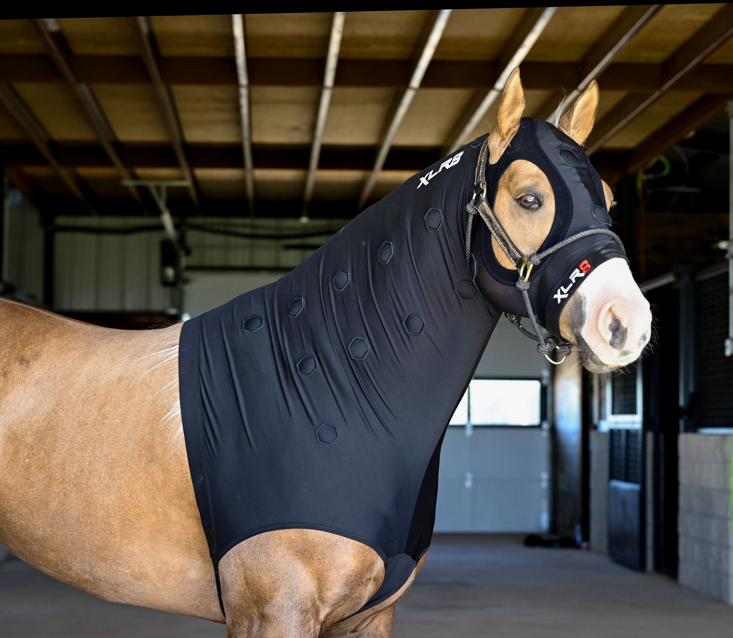 Velocity Hood