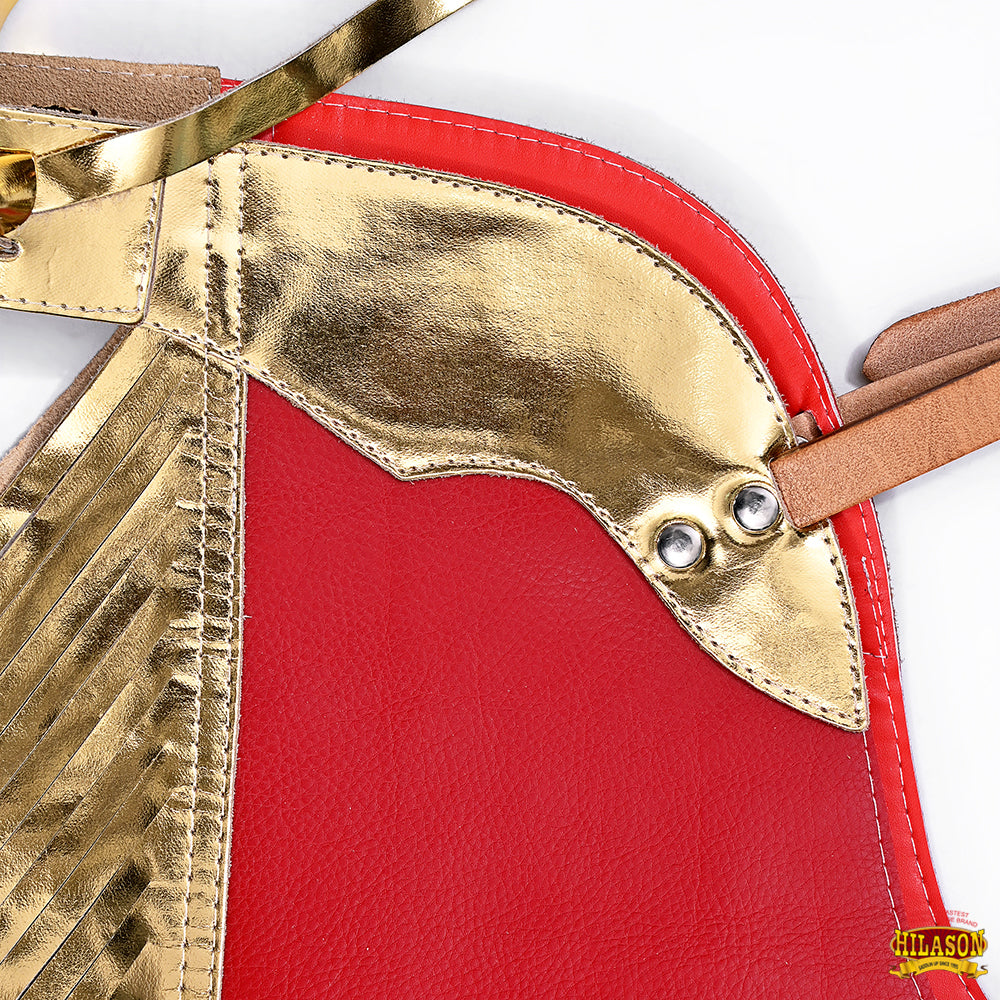 Hilason Western Leather Kids Junior Youth Pro Rodeo Bull Riding Chaps