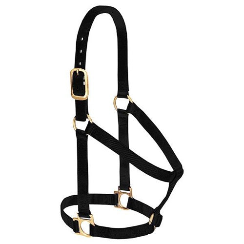 Basic Non-Adjustable Halter - Small Black
