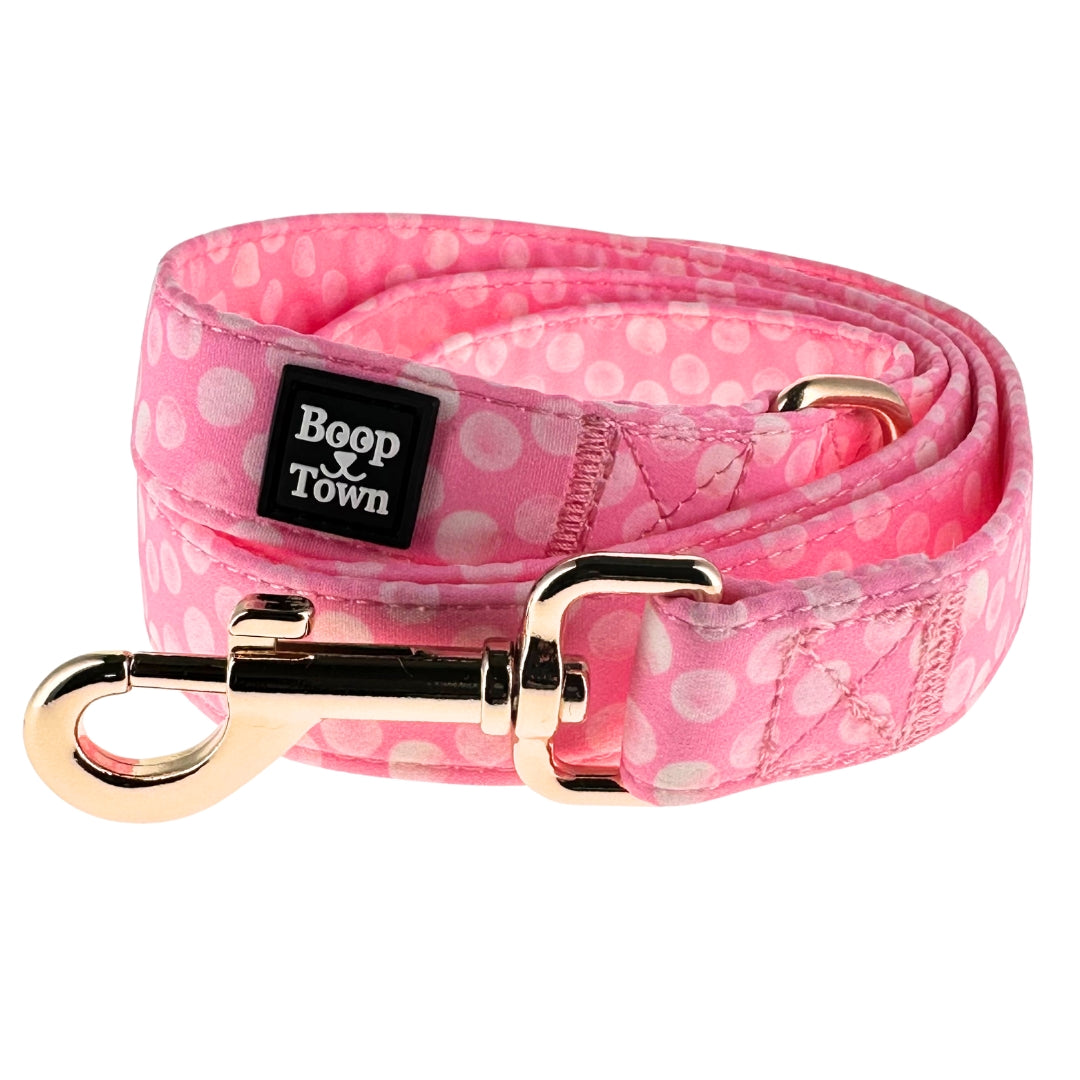 Dog Leashes