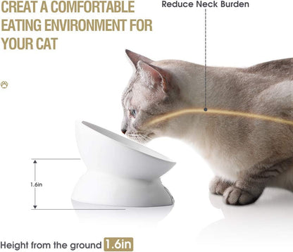 Ceramic Raised Cat Bowls