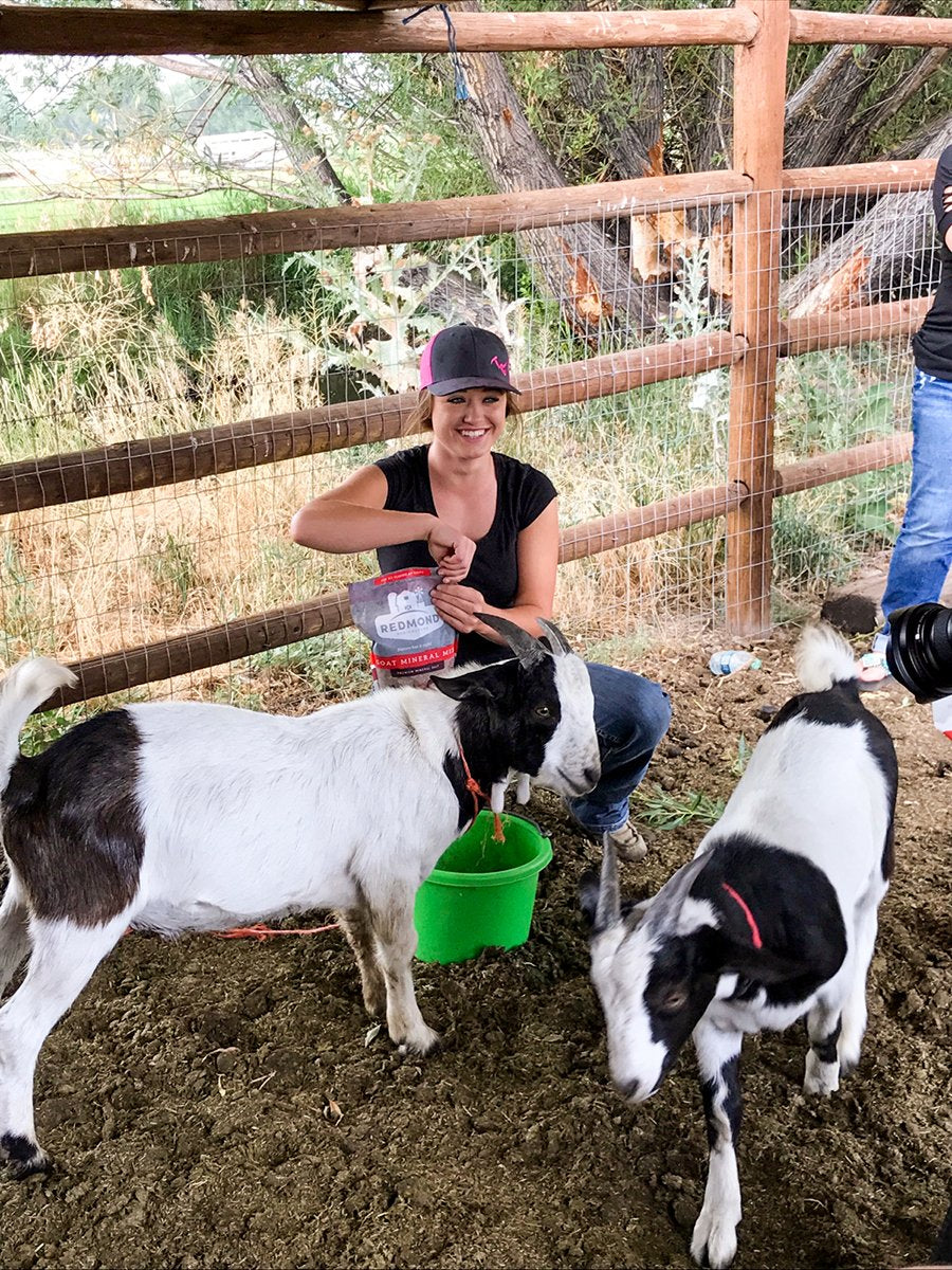 Goat Mineral