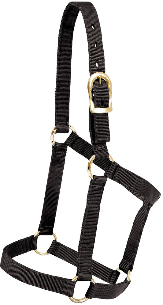 Regular 1" Poly Halter - BLACK