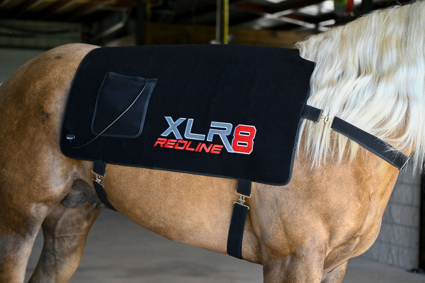 Redline Back Wrap