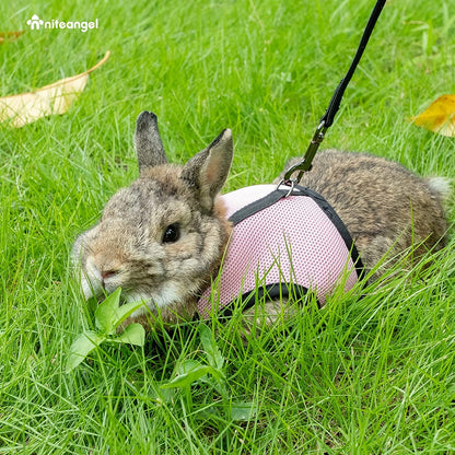 Adjustable Soft Harness with Elastic Leash for Rabbits (M, Pink)