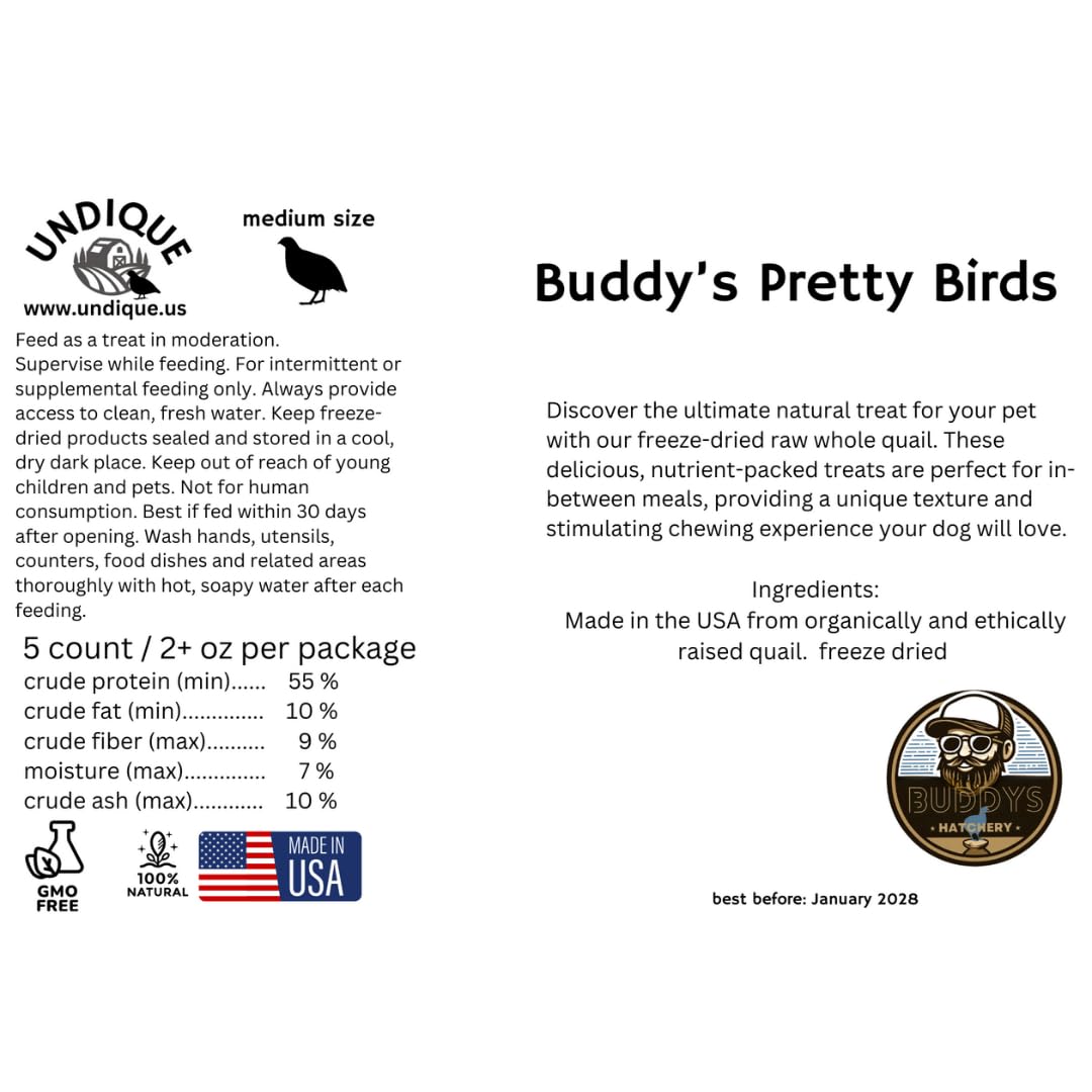 Whole Quail Chick for Carnivore Pets - Natural Prey Feeding - Quality Protein Source Medium Size Chicks 5 Count