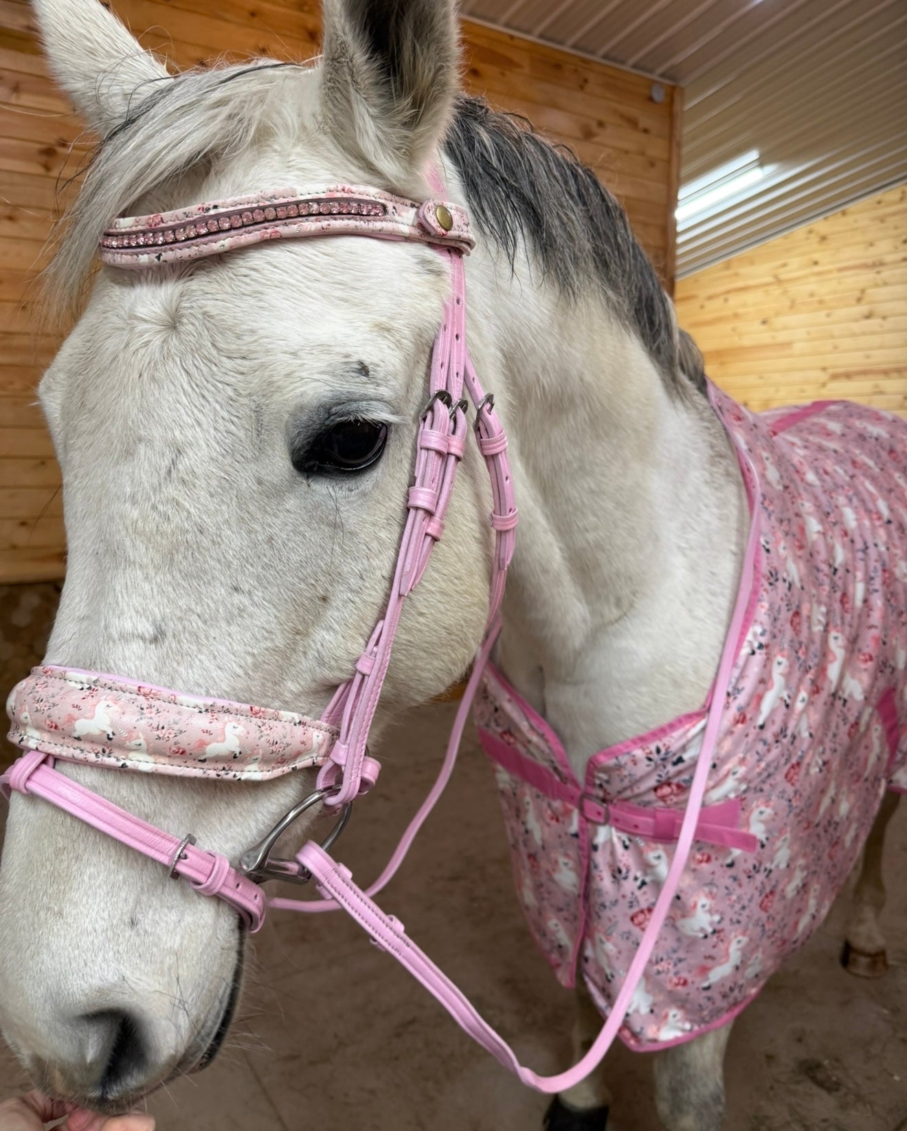 Unicorn Realms Flash Bridle