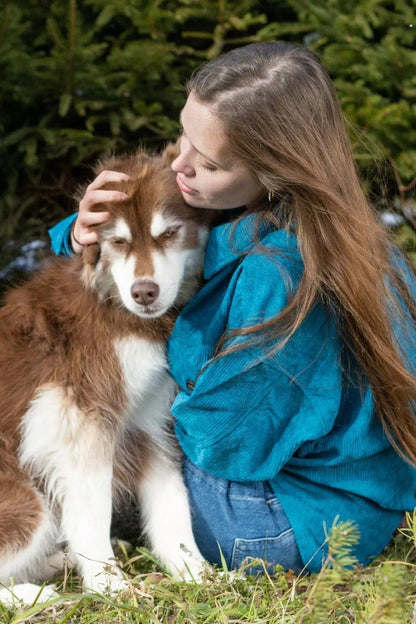 Blue Spruce Plaid Dog Bandana