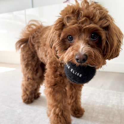 Classic Tennis Ball - Noir