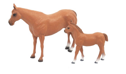 QUARTER HORSE MARE & COLT