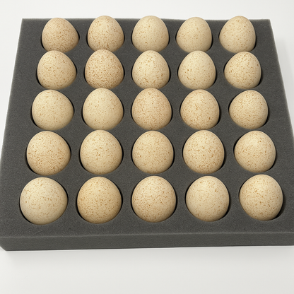 25 Hole Egg Shipping Foam – For Turkeys, Ducks & Chicken Eggs